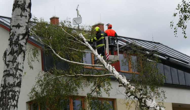 FOTO: Kvůli silnému větru během víkendu je aktuálně bez proudu 3000 odběratelů v Olomouckém kraji