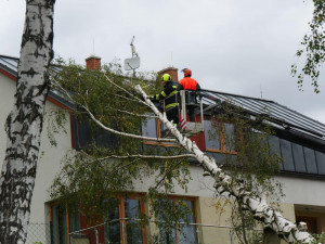 FOTO: Kvůli silnému větru během víkendu je aktuálně bez proudu 3000 odběratelů v Olomouckém kraji