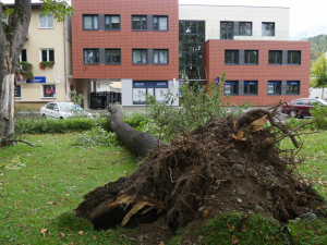 Zásah hasičů
