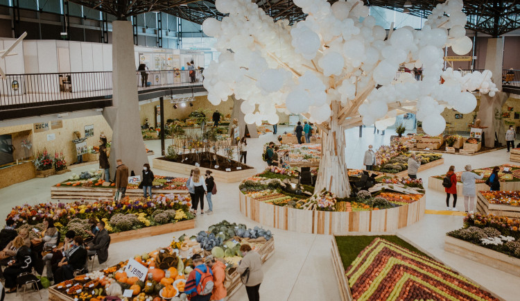 FOTO: Čtyřdenní podzimní Flora Olomouc zaznamenala poloviční návštěvnost