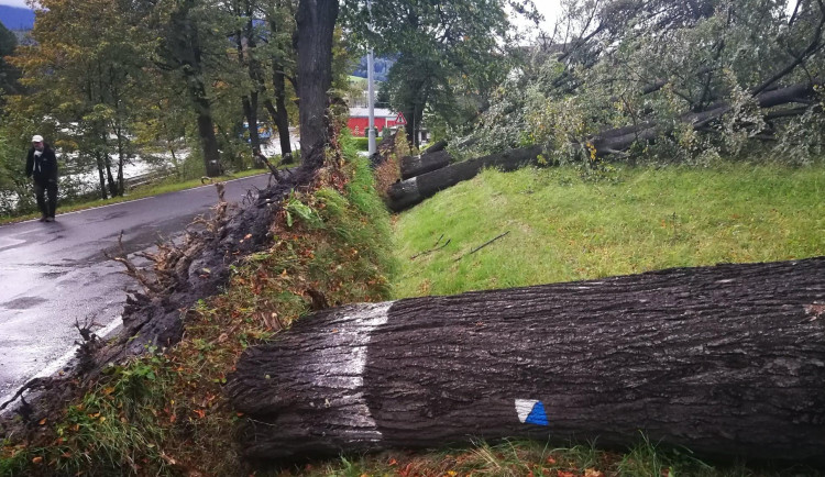 FOTO: Více než 220 výjezdů hasičů v kraji. Silný vítr o víkendu nejčastěji vyvracel stromy