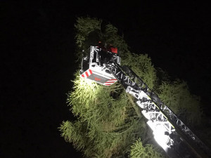 FOTO: Více než 220 výjezdů hasičů v kraji. Silný vítr o víkendu nejčastěji vyvracel stromy