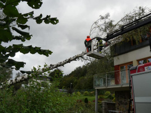 FOTO: Více než 220 výjezdů hasičů v kraji. Silný vítr o víkendu nejčastěji vyvracel stromy