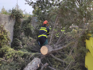 FOTO: Více než 220 výjezdů hasičů v kraji. Silný vítr o víkendu nejčastěji vyvracel stromy