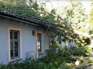 FOTO: Více než 220 výjezdů hasičů v kraji. Silný vítr o víkendu nejčastěji vyvracel stromy