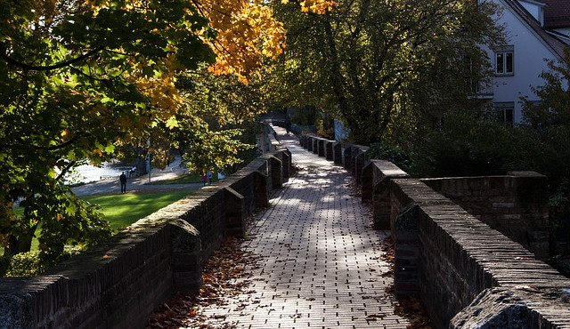 Město Prostějov díky dotaci rozšířilo plochy krajinné zeleně. Vysázelo se 31 listnatých stromů a 1 200 keřů