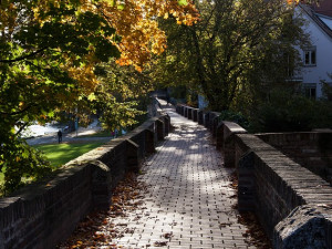 Město Prostějov díky dotaci rozšířilo plochy krajinné zeleně. Vysázelo se 31 listnatých stromů a 1 200 keřů