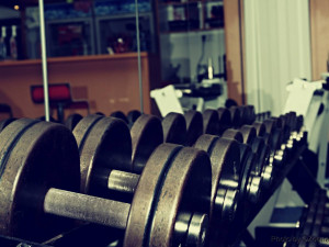 Komora fitness: Provozovatelé jsou zoufalí, sčítáme ztráty