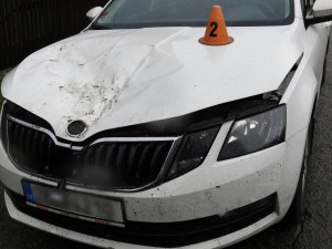 FOTO: Během jízdy spadl řidiči na kapotu auta strom