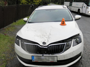 Během jízdy spadl řidiči na kapotu auta spadl strom