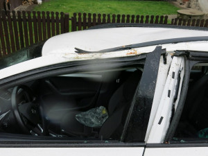 Během jízdy spadl řidiči na kapotu auta spadl strom