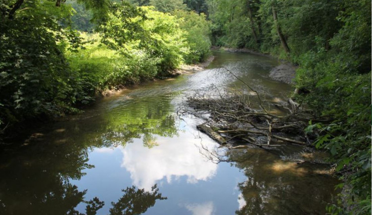 Před 30 lety byla zřízena CHKO Litovelské Pomoraví