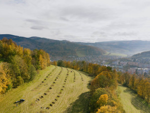 Jeseničtí obyvatelé vysadili ovocný sad, sloužit má mimo jiné ke vzdělávání dětí