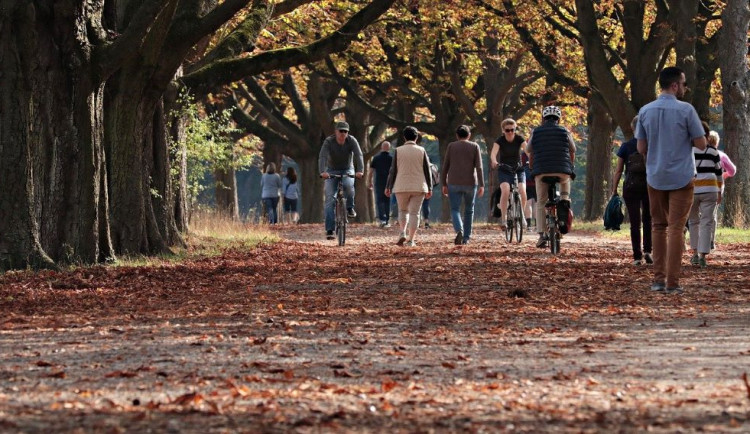 Česko čekají mírně nadprůměrné teploty, srážek ubyde
