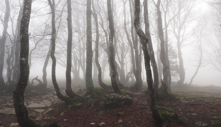 Olomoucký kraj přikryje oblačnost a mlha, na horách bude jasno