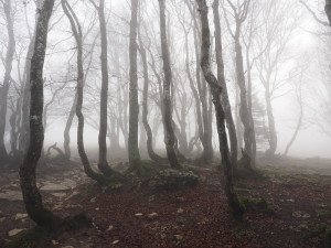 Olomoucký kraj přikryje oblačnost a mlha, na horách bude jasno
