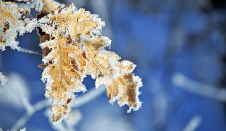 Až do poloviny prosince bude mrznout jen v noci