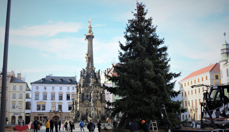 FOTO/VIDEO: Na olomouckém Horním náměstí již stojí vánoční stromeček. Jak se vám líbí?