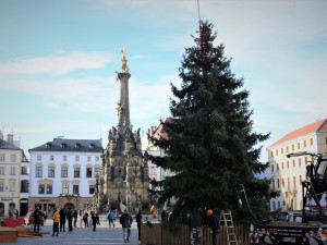 FOTO/VIDEO: Na olomouckém Horním náměstí již stojí vánoční stromeček. Jak se vám líbí?
