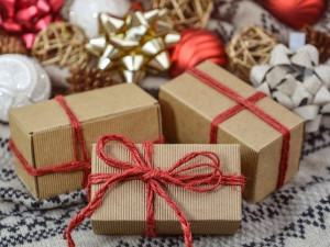 Pozor na nákupy vánočních dárků z e-shopů, některé mohou být podvodné, varují policisté