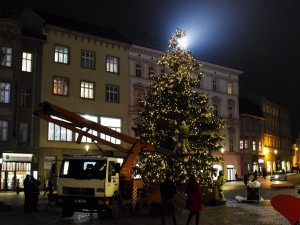 FOTO: Olomoucký vánoční stromeček se na zkoušku rozsvítil. Podívejte se, jak letos vypadá