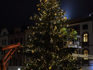 FOTO: Olomoucký vánoční stromeček se rozsvítil. Podívejte se, jak letos vypadá