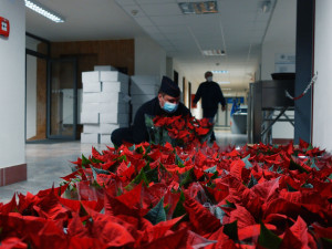Policisté koupí vánoční hvězdy potěšili seniory a podpořili dětské oddělení FN Olomouc