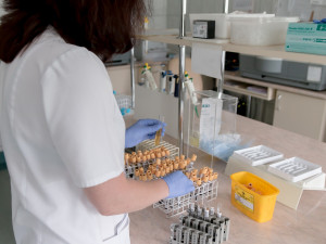Pojišťovny budou od ledna hradit 1276 korun za PCR test a odběr