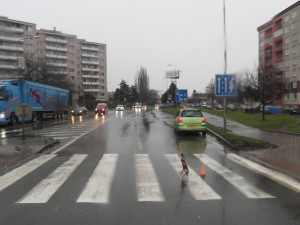 Řidič Suzuki srazil cyklistku přejíždějící přes přechod pro chodce