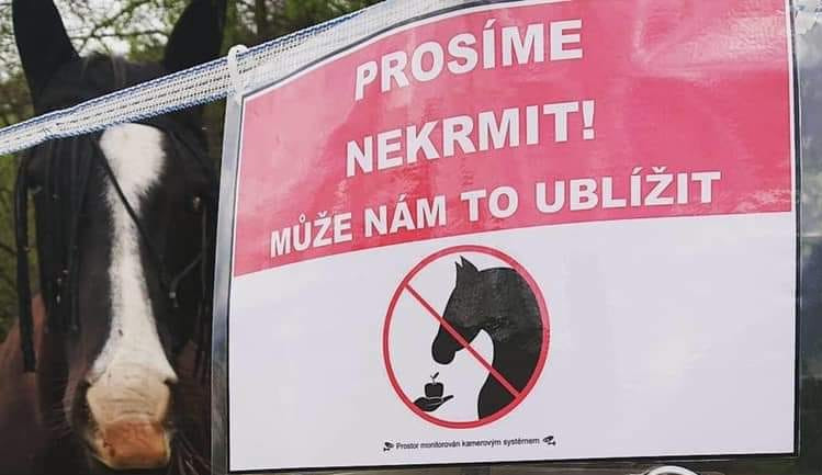 ilustrační foto