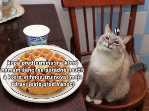 Autorka UPOL memes: Je to obecně důležitější než kdy předtím. Prozradí identitu?