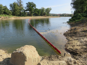 Na zarybnění řeky Bečvy už padlo půl milionu korun. Bude pokračovat i letos, snahou je nahradit všechny ročníky