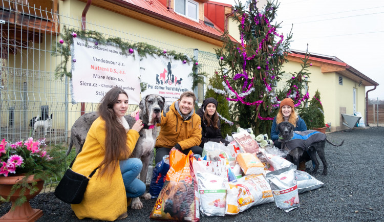 I přes krizi se olomouckým dobrovolníkům podařilo uspořádat sbírku pro psí útulek
