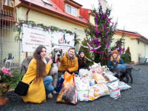 I přes krizi se olomouckým dobrovolníkům podařilo uspořádat sbírku pro psí útulek