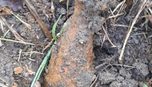 Místo pokladu našel granát