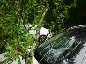 Nezvládnutné řízení stálo život 32letého muže, narazil do stromů