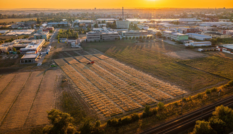 Vedci z Univerzity Palackého budou eliminovat škodlivé pesticidy