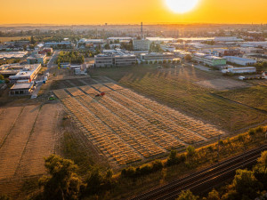 Vedci z Univerzity Palackého budou eliminovat škodlivé pesticidy