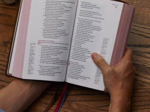 Olomoucí opět zazní verše Bible na začátku dubna. Číst písmo může kdokoli