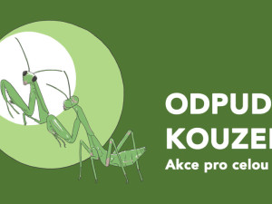 Chcete poznat nejjedovatější druhy štírů na světě? Přijďte na akci Odpudiví nebo kouzelní do Pevnosti poznání