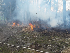 První letošní požár lesa. U Nové Hradečné hořel travní porost a malé jehličnaté stromky
