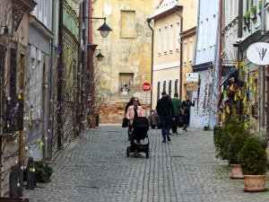 Pestrobarevná krása: kraslicovníky jarně oživily uličku v centru Olomouce