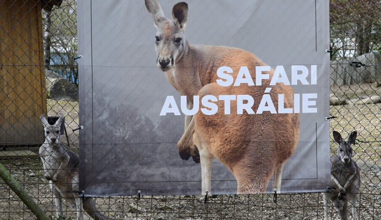 Olomoucká zoo otevřela nové pavilony safari. Už jste je viděli?