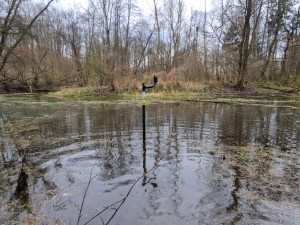 Přemnoží-li se komáří, upozorní na to senzory od Univerzity Palackého