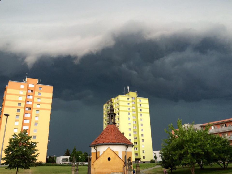 Danuše Zakopalová - Nové Sady