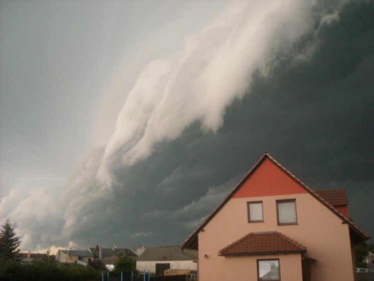 Eva Palinková - Chomoutov