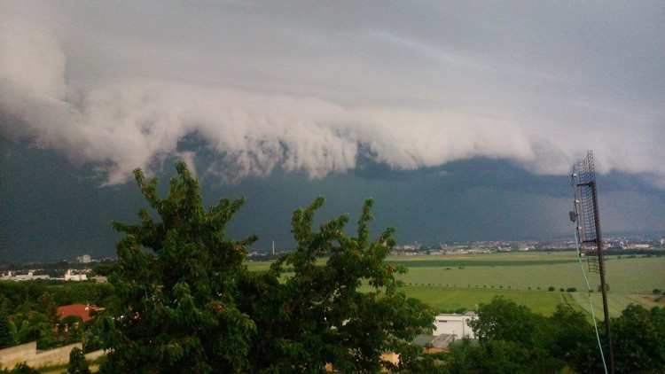 Kamila Becková - Droždín