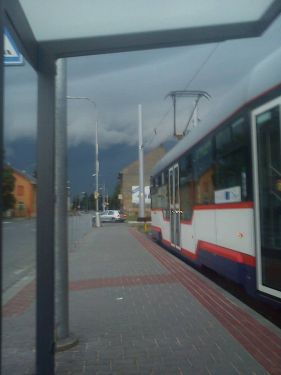 Michaela Kopecká - Trnkova