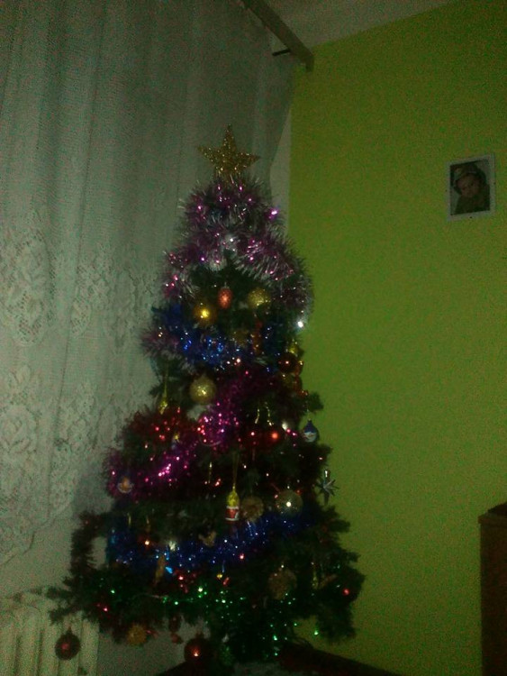 Čtenářská fotogalerie vánočních stromečků