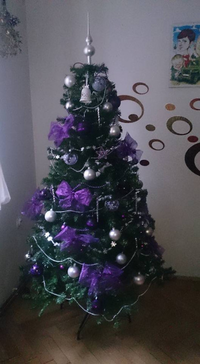 Čtenářská fotogalerie vánočních stromečků